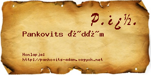 Pankovits Ádám névjegykártya